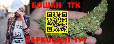 молекула духа Шелехов