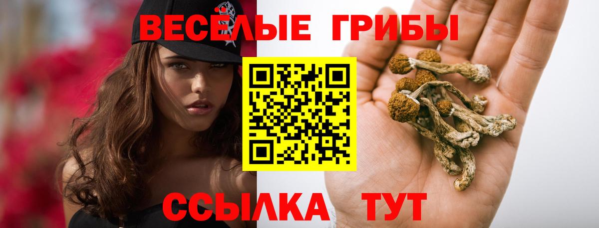 Галлюциногенные грибы мицелий  продажа наркотиков  Вход с VPN  Астрахань  Псилоцибиновые грибы MAGIC MUSHROOMS 
