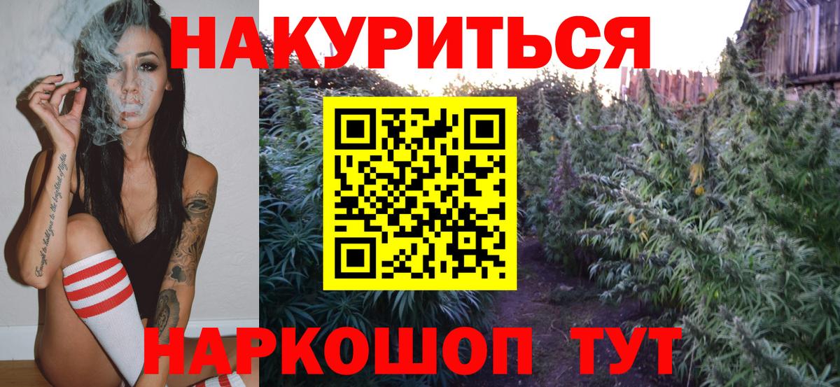 Марихуана сатива  Шишки марихуана OG Kush  Конопля OG Kush  Вход с VPN  Канабис сатива  Астрахань 